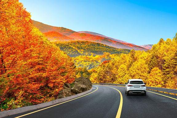 bc29b386e7455dc4024a797b98b6ec8f_1762531783_2215.png bc29b386e7455dc4024a797b98b6ec8f_1762531783_2215.png