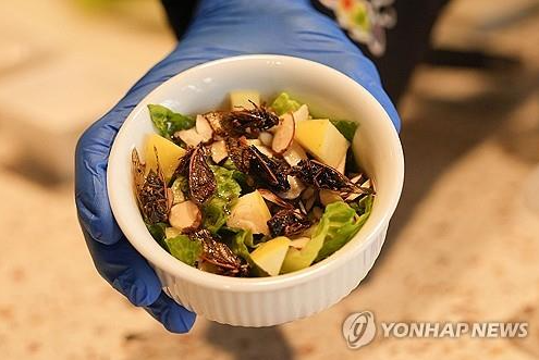 매미로 만든 음식 (사진 출처: 연합뉴스)