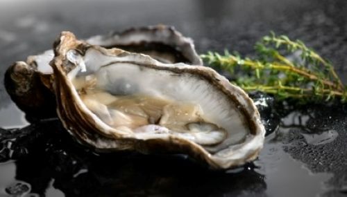 텍사스에서 최소 2명이 생굴과 관련된 살모넬라 집단 감염으로 확인됐다. [사진 출처: shutterstock]