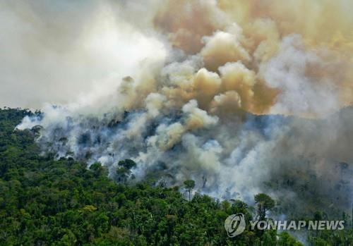 불타는 아마존 밀림 (사진 출처: 연합뉴스)