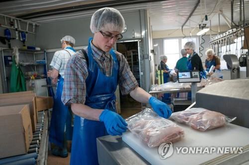 미국의 한 가금육 가공 업체 [로이터=연합뉴스 자료사진]