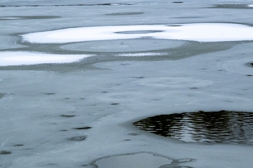 텍사스 북부에서 어린 형제가 얼음 낀 연못에 빠져 숨지는 사고가 발생했다.[사진 출처:shutterstock]