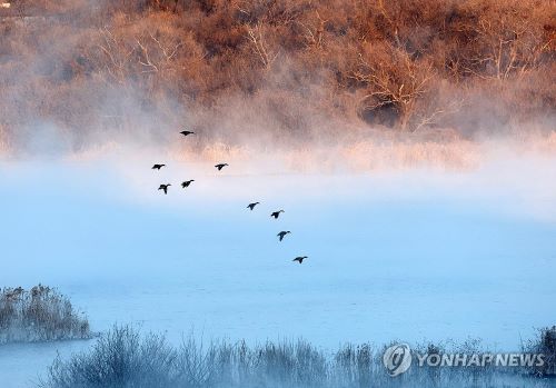 달라스 지역에 이어지던 따뜻한 날씨가 새해를 맞아 점차 쌀쌀해질 전망이다.