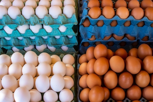 Cal-Maine Foods가 텍사스 전역의 푸드뱅크에 200만 개가 넘는 달걀을 기부하기로 했다. [사진 출처: shutterstock]