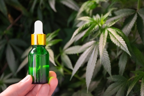 정부 셧다운 종료를 위한 연방 지출 법안에 THC 제품 금지 조항이 포함됐다. [사진 출처: shutterstock]