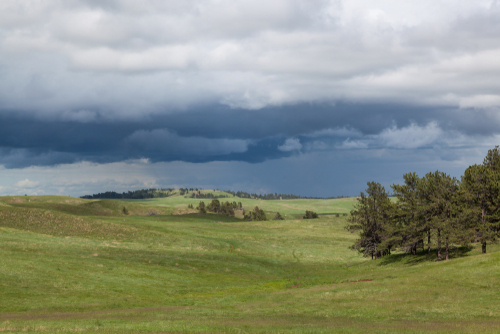 텍사스 공화당 재무감사관(comptroller) 후보와 관련해 부동산 거래 이력이 새롭게 조명되면서 정치권에서 논란이 일고 있다. [사진 출처: shutterstock]