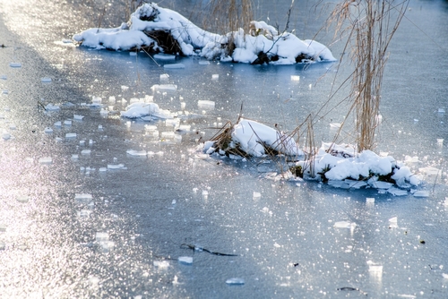 루이스빌(Lewisville)에서 한 여성이 얼음으로 뒤덮인 연못에 빠지는 사고가 발생했다. [사진 출처: shutterstock]