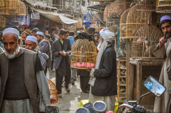 아프가니스탄 카불의 시장