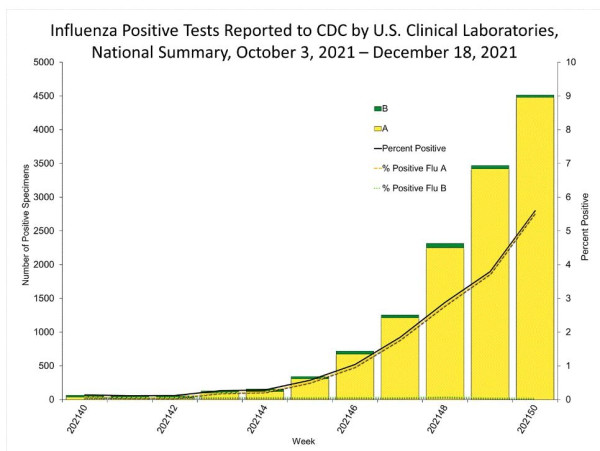 가파르게 솟는 미국 독감 확진자 그래프, 미국 CDC 자료 (사진 출처: 연합뉴스)