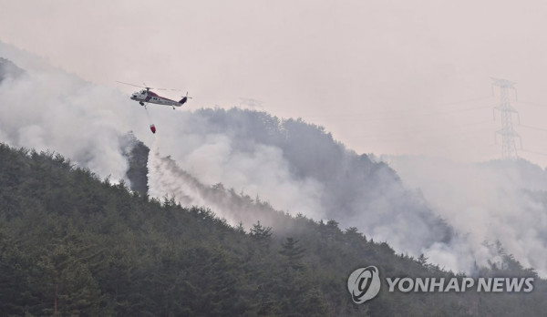 산불 진화 총력전 (사진 출처: 연합뉴스)