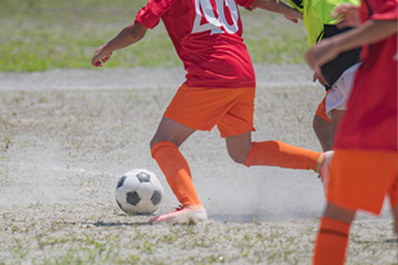 사진출처=www.shutterstock.com