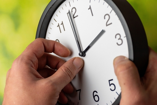 (사진 출처:Mehes Daniel / Shutterstock)