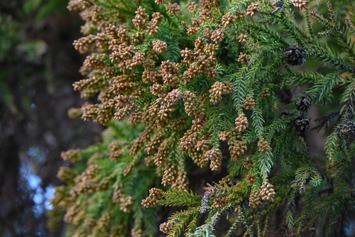 [사진 출처: shutterstock]