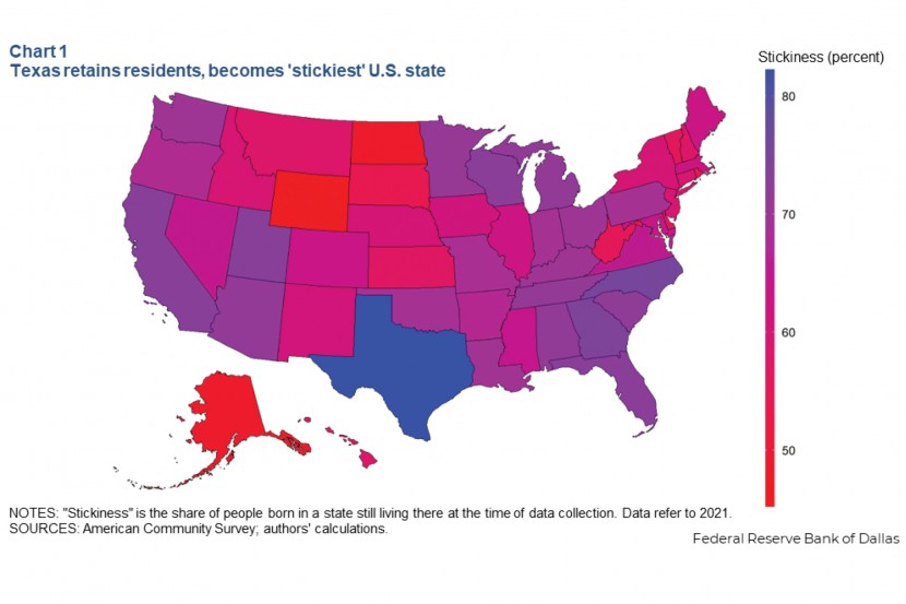 각 주에서 태어나 여전히 해당 주에 살고 있는 사람의 비율