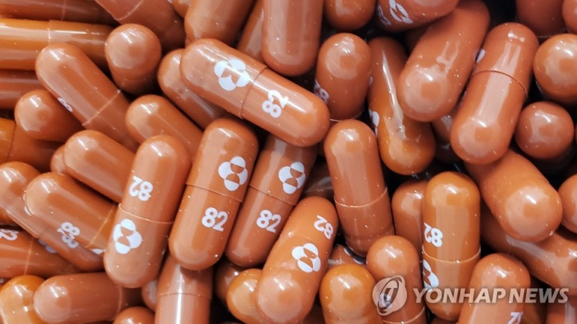 코로나 19 경구용 치료제 몰누피라비르 (사진 출처: 연합뉴스)